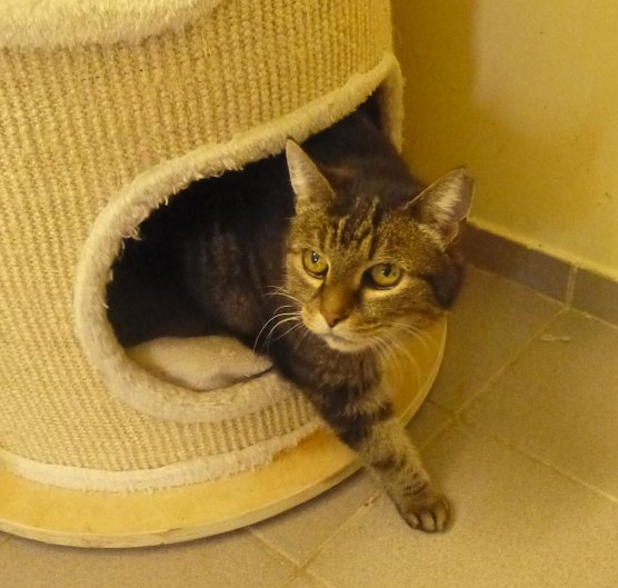 Tier der Woche: Ursula (Foto: Birgit Hellrung)