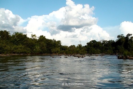 Unterwegs in Brasilien (Foto: Swen Buerschaper)
