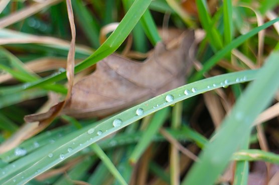 Wetterbild (Foto: Angelo Glashagel) Wetterbild (Foto: Angelo Glashagel)