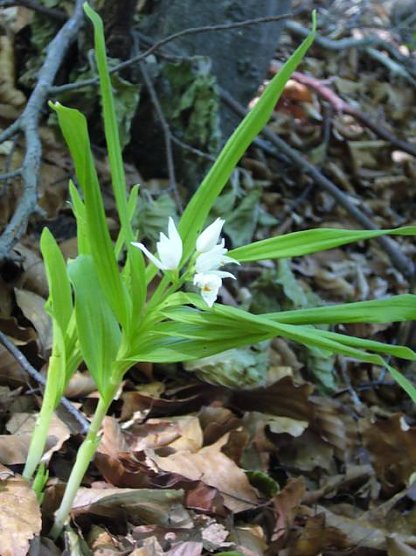 karstwanderung (Foto: kartswanderung)