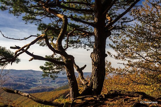 Wetterbild (Foto: Gernot Thelemann)