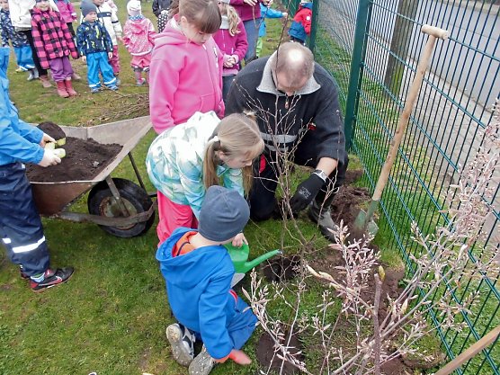 Gepflanzt (Foto: Bildquelle: Johanniter-Unfall-Hilfe e.V./ Sabine Jentho)
