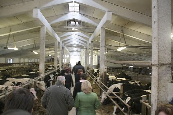 Projekt Harzungen (Foto: LEADER)