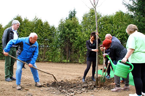 Eine Mai-Linde für Sollstedt (Foto: Bernd Peter) Eine Mai-Linde für Sollstedt (Foto: Bernd Peter)
