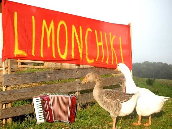 Die achte Auflage (Foto: jks)