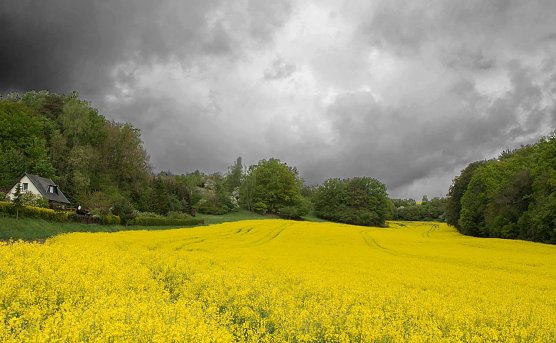 Gr&auml;blingstal bei R&uuml;digsdorf (Foto: privat)