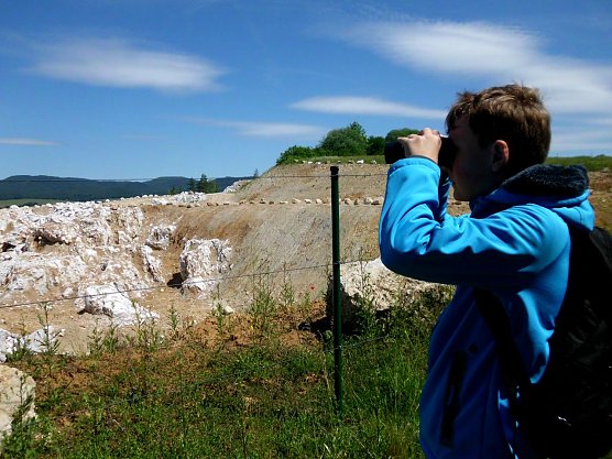 Torben beim Beobachten des Gipsabbaus an den Ellricher Klippen. (Foto: Daniela Hottenroth)