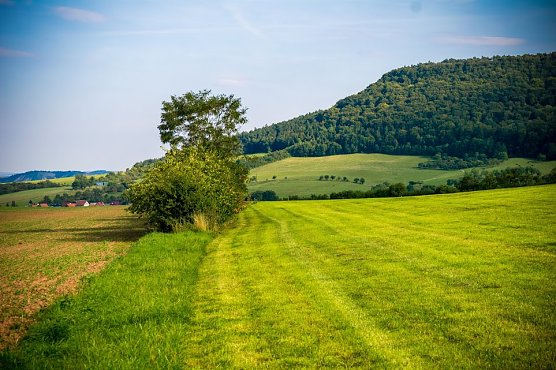 Wetter-Bild (Foto: Gernot Thelemann)