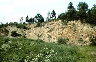 Am Sonntag f&uuml;hrt eine k&uuml;rzere geologie- und geschichtstr&auml;chtige Wanderung in die Landschaft um Bartolfelde (Foto: Firouz Vladi)