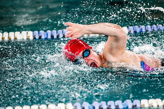 Kraulschwimmen f&uuml;r Erwachsene im Badehaus Nordhausen (Foto: Badehaus Nordhausen GmbH)