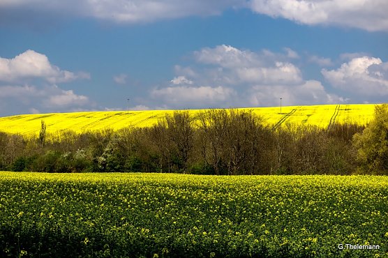 Wetter-Bild (Foto: Gernot Thelemann)