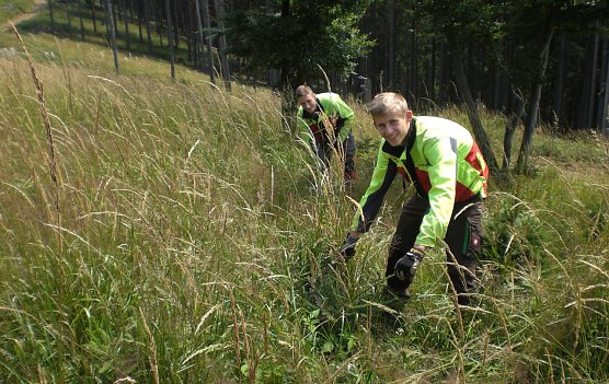 Azubis 2. Lehrjahr  (von links) Marcus Thannh&auml;user aus Bleicherode und Samuel Tettenborn aus Walkenried bei Kulturpflegearbeiten im Revier Christianenhaus. (Foto: privat)