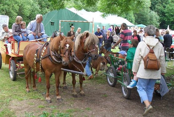 Drachenfest (Foto: Rainer K.)