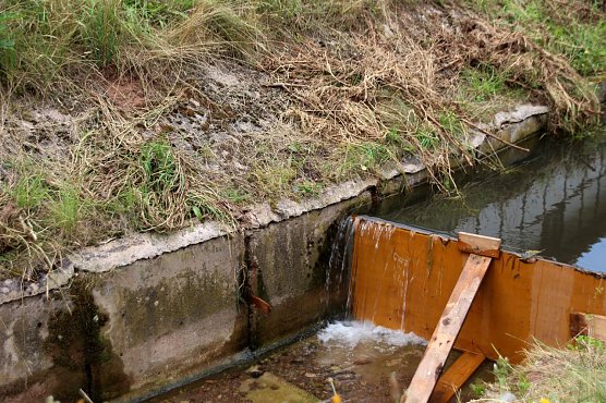 Angestauter Bach (Foto: I. Bergmann, Stadt Nordhausen)