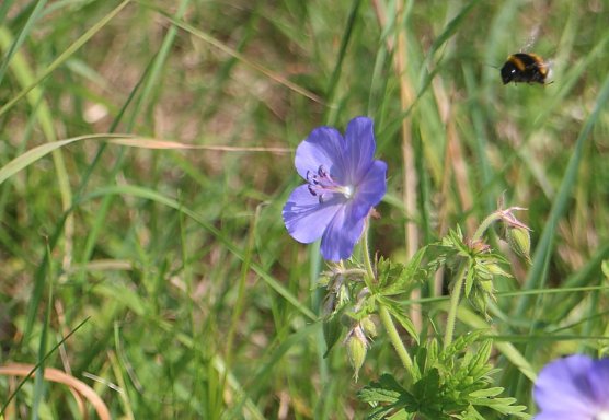 Wetterbild (Foto: Angelo Glashagel)