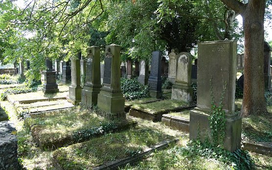 Grabsteinreihen auf Nordh&auml;user Friedhof (Foto: Marie-Luis Zahradnik)