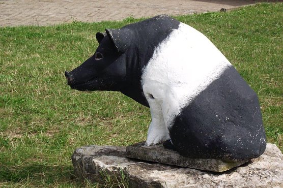 Ein Besuch auf der Forst-Farm (Foto: Kurt Frank) Ein Besuch auf der Forst-Farm (Foto: Kurt Frank)