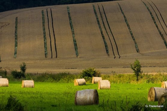 Wetter-Bild (Foto: Gernot Thelemann)