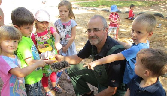 Igel gerettet (Foto: privat)