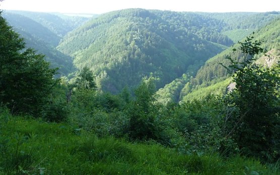 Der sch&ouml;ne S&uuml;dharz (Foto: nnz)