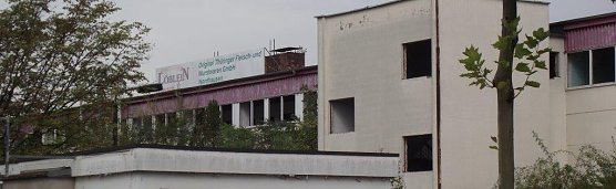 Industrieruine in Nordhausen (Foto: Kurt Frank)