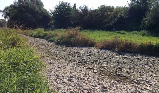 Ausgetrocknet (Foto: K. Berndt)