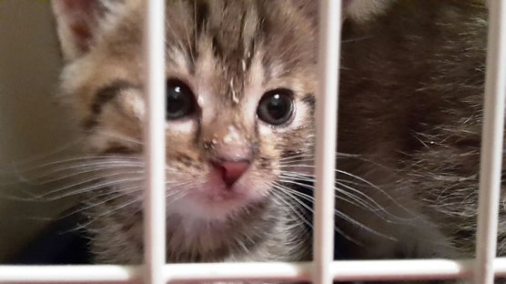 Danke f&uuml;r Hilfe und Unterst&uuml;tzung (Foto: privat)