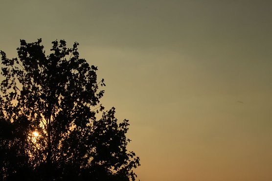 Wetterbild (Foto: Angelo Glashagel) Wetterbild (Foto: Angelo Glashagel)