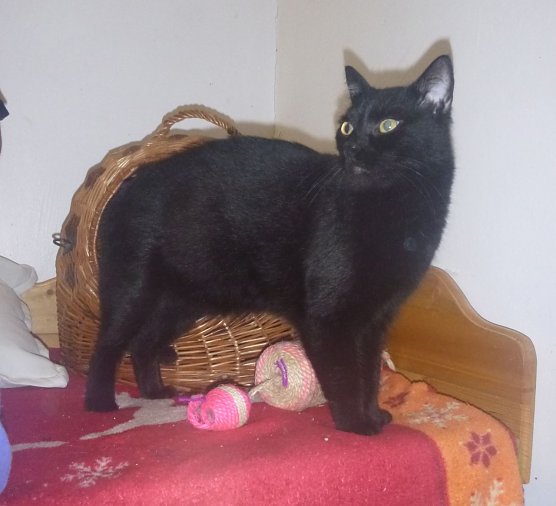 Tier der Woche: Baldo (Foto: Birgit Hellrung)