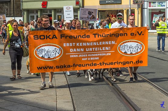 SOKA Run (Foto: Joachim K&uuml;hm )