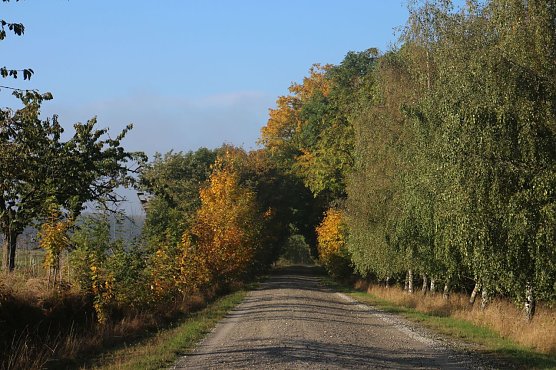 Wetterbild (Foto: Angelo Glashagel)