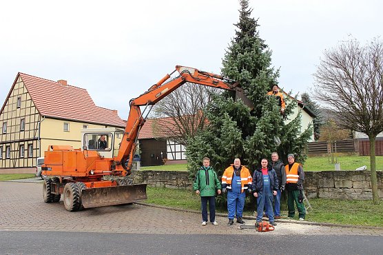 Ein Baum f&uuml;r Obergebra (Foto: Michael Randel)
