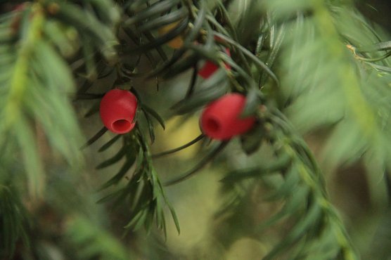 Wetterbild (Foto: Angelo Glashagel) Wetterbild (Foto: Angelo Glashagel)