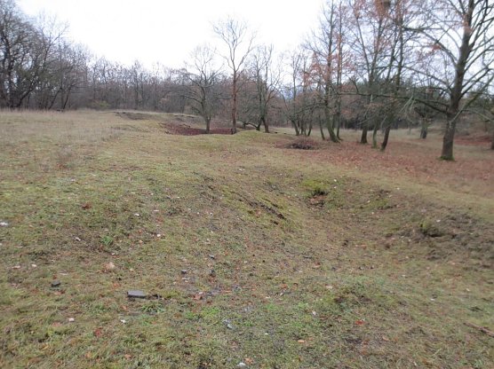 Nach der Pflege (Foto: LPV)