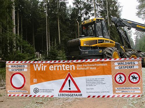 Holzernte bei den Nachbarn (Foto: Forstamt Lauterberg)