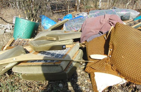 Wilde M&uuml;llkippe (Foto: B. Schwarzberg)