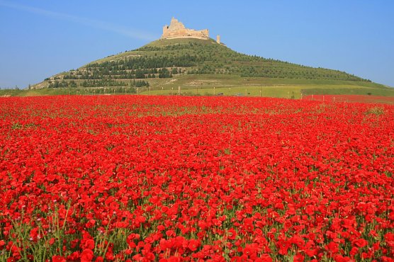 Auf dem Jakobsweg (Foto: Matthias Hanke)