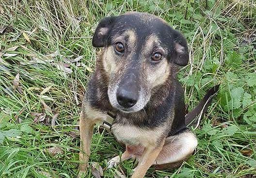 Suche nach Odin geht weiter (Foto: privat)