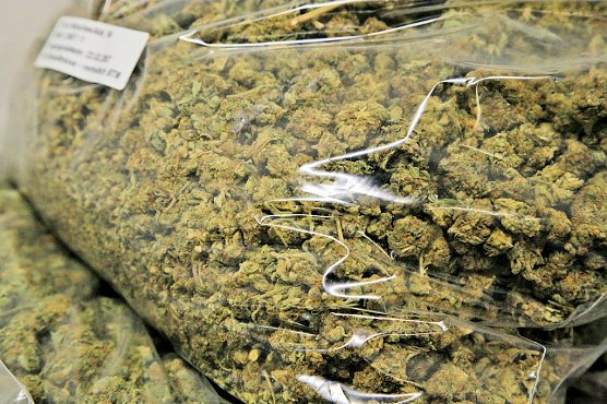 Oftmals werden Zollbeamte f&uuml;ndig (Foto: Zoll)