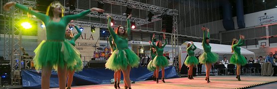 Showtanz aus Werther (Foto: nnz)