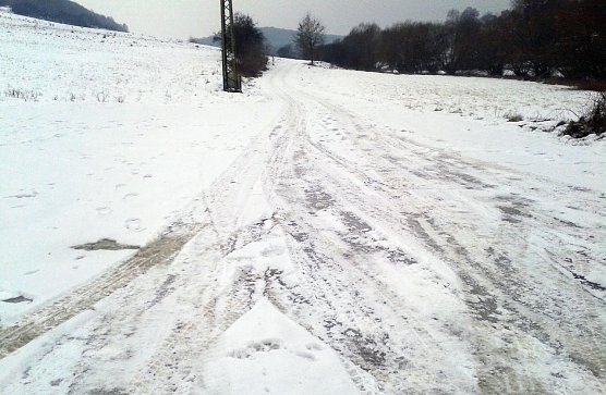 Eishunderter (Foto: Bodo Schwarzberg)