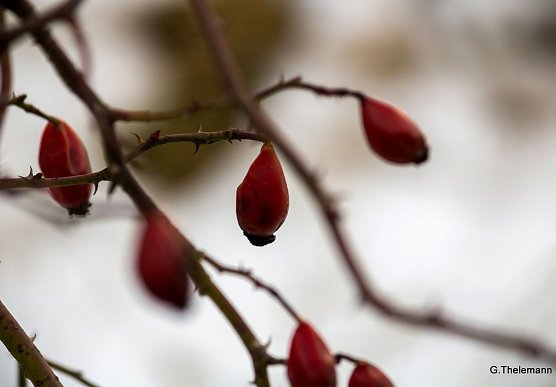 Wetter-Bild (Foto: Gernot Thelemann)