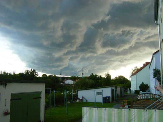 Phänomen (Foto: St. Paul) Phänomen (Foto: St. Paul)