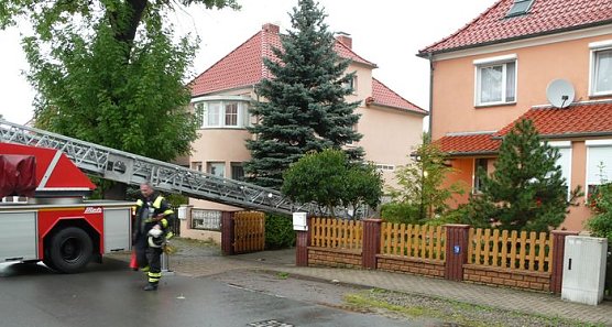 Blitz eingeschlagen (Foto: nnz)