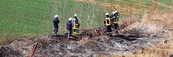 Fl&auml;chenbrand bei Sollstedt (Foto: Bernd Peter)