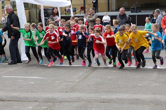 Fr&uuml;hjahrscrosslauf im Gehege (Foto: Uwe Tittel)