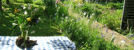 Feld statt Wiese - w&uuml;rde urbanes G&auml;rtnern auch in Nordhausen funktionieren? (Foto: Angelo Glashagel)