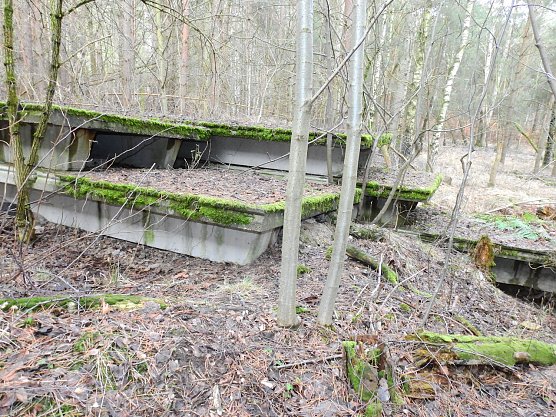 Ruinen in der Heide (Foto: Peter Blei)