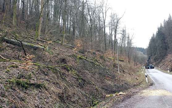 Bis 23. April wieder ge&ouml;ffnet (Foto: Forstamt Bleicherode-S&uuml;dharz)