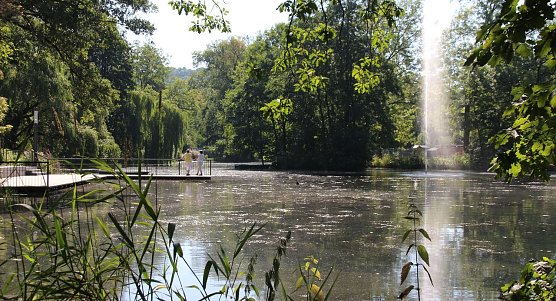 Blick auf den Gondelteich (Foto: Stadtverwaltung Nordhausen)